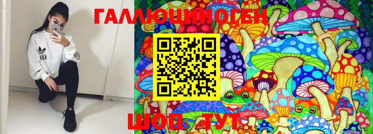 Галлюциногенные грибы Psilocybe Тара