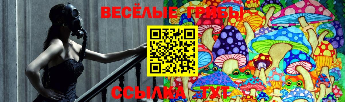 Галлюциногенные грибы Magic Shrooms  Вход с VPN  Тара 